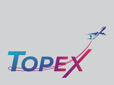 TopeX branding design flat graphic design logo minimal travel logo vector