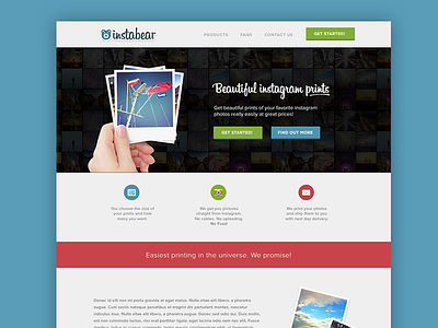 Instabear Website flat flatties homepage icon instagram polaroid site