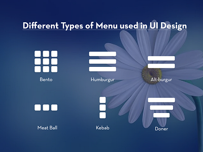 UI Design Menu Variation