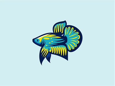 Betta Fish