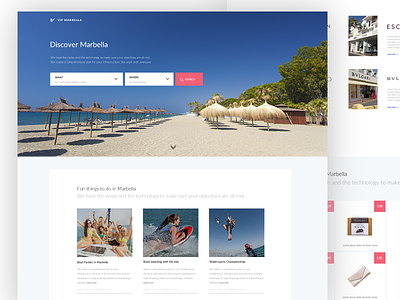 VIP Marbella clean design home minimal page webpage