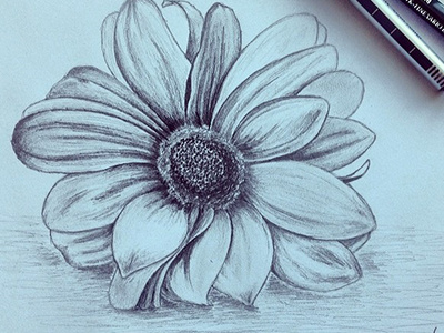 Flower sketch 1 artist artwork doodle draw drawing flower nature sketch