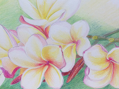 Flowers 2 artist artwork color doodle draw drawing flower nature painting pastel