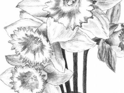 Flower sketch 2 artist artwork doodle draw drawing flower nature sketch