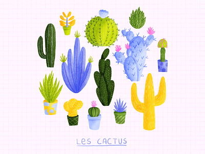 CACTUS cactus design drawing graphic design illustration pink purple