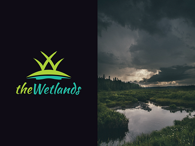 theWetlands branding design flat illustration illustrator logo minimal photoshop ui vector