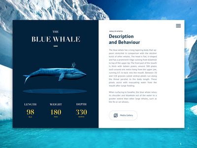 The Blue Whale blue design editorial knowledge newspaper sea ui ux web design whale