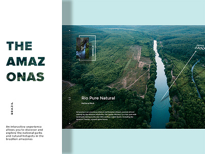 The Amazonas 3d amazonas brazil discover explore interactive map nature web
