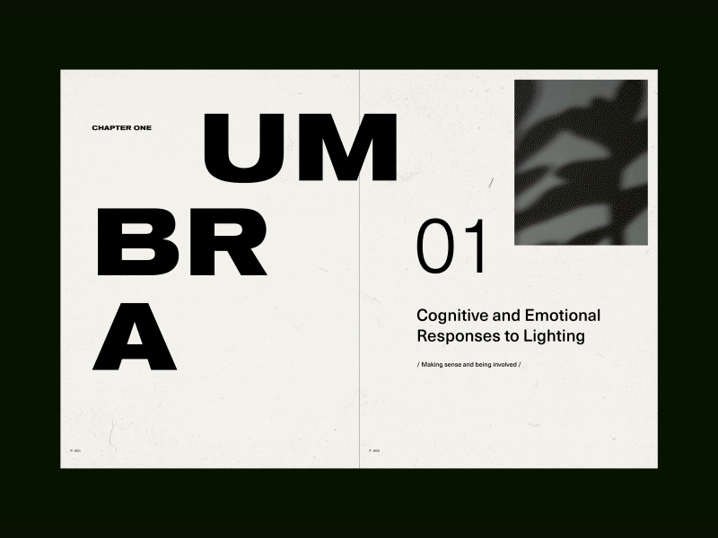 Umbra book branding design editorial design graphic art graphic design graphic design brand photo book photography typography