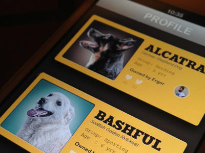 Dog Profiles app design behance daniel sadlowski dog app dog breeds ios design iphone app ui ux design