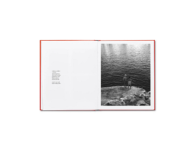 Sea Secrets book design editorial photo book photography publishing typogaphy visual art web design