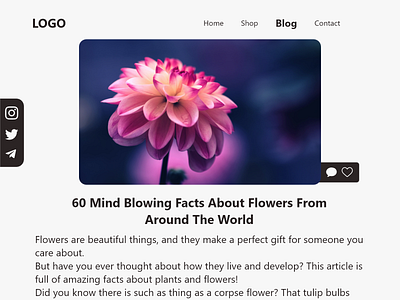 DailyUI Challenge 035 - Blog post 035 app blog blog post challenge dailyui design flower graphic design post ui ux