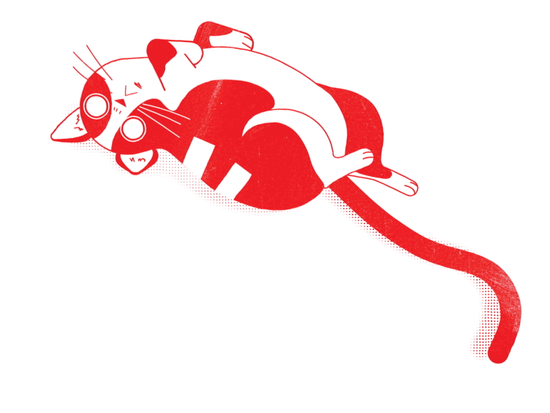 red cat alvz animation cat creepy cute gif halftone kitten kitty loop motion red