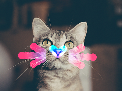 KatColor cat character color design feline gato vector