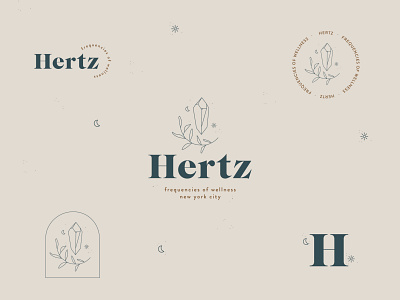 Hertz logo kit branding design graphic design logo typography