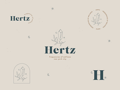 Hertz logo kit