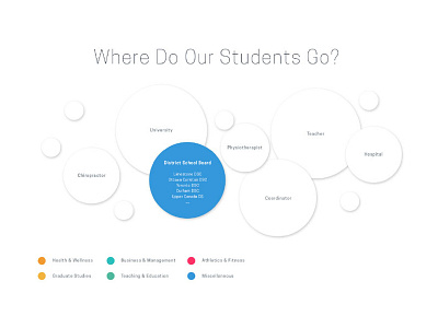 Visual Data Chart chart colourful data design statistics visual data web web design