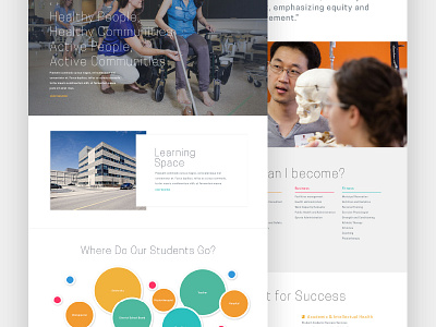 Student Paths colourful data education graphs statistical information statistics ui university ux web web design