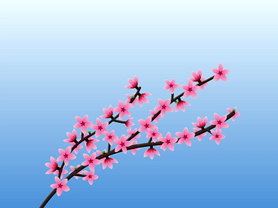 BLOSSOM - DAY 024 2d 2d animation after effects animation blossom cherry blossom cherry blossoms flowers illustration loop motion design motion graphics
