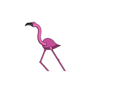 FLAMINGO - DAY 050 2d 2d animation after effects animation character design dance flamingo flamingos illustration loop motion design motion graphics