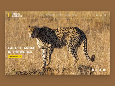 Re-design National Geographic Landing Page animal design minimal national geographic ui web web design wildlife