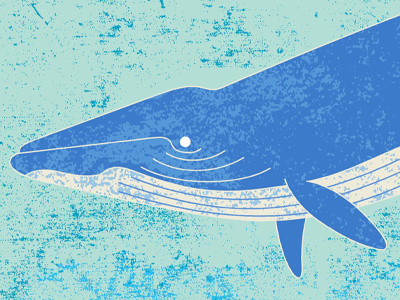 Blue Whale draft #1 animal blue creature graphic design illustration ocean ruocco sea texture whale