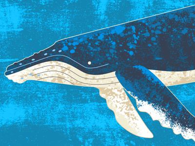 Humpback Whale blue creature graphic design humpback illlustration mammal ocean ruocco sea whale