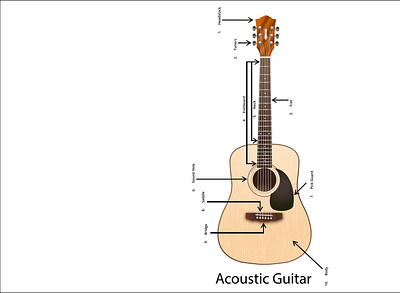 Acoustic Guitar adobe illustrator graphic design illustration vector
