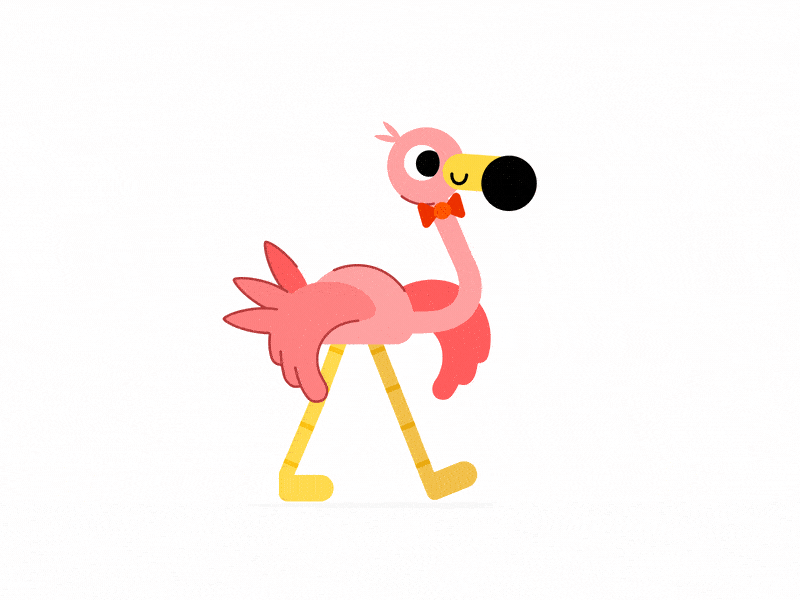 Flamingo animation flamingo gif logo animation motiondesign walkcycle