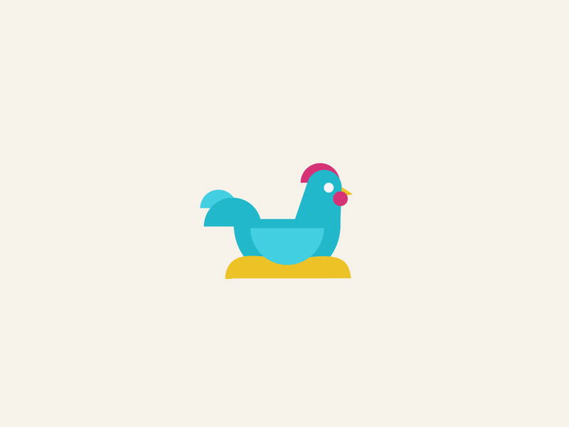 Chicken animation art bird chicken design explainer gif illustration