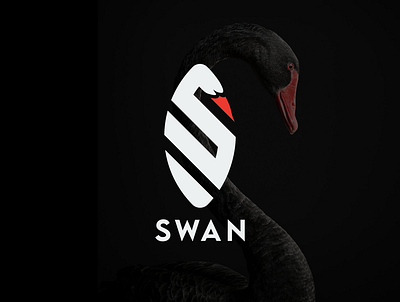 swan logo ambigram branding business card design icon illustration logo monogram logo swan logo symbol vector