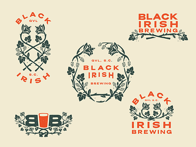 Black Irish Brewery - Concept 1 beer black brew brewery hops irish south carolina