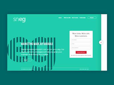 Sneg site analytics big data identity marketing web design