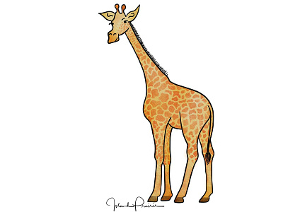 Watercolour Giraffe illustration