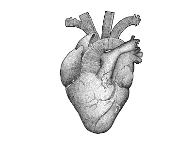 HEART dot dotwork drawing heart heart logo illustration ink inkonpaper penandink pointillism stipple stippling
