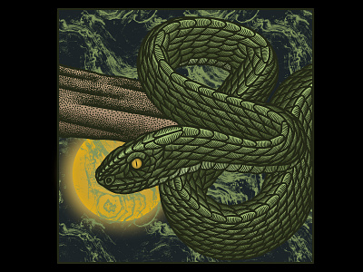 Trimeresurus Albolabris (For Sale) artwork darkart drawing illustration macabre serpent snake venomous