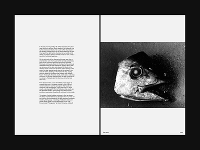 Daido Moriyama book layout design