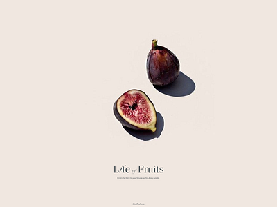 Life of Fruits branding identity branding branding concept challenge dailychallenge design graphic graphicdesign illustration minimalist