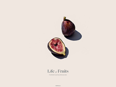 Life of Fruits branding identity