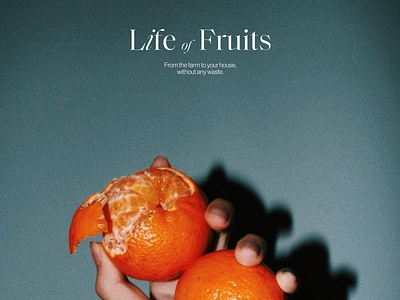 Life of Fruits branding identity