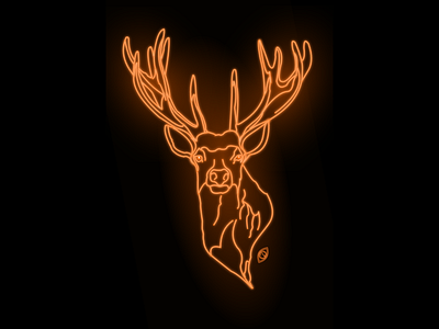 Neon Deer Wallpaper art background creative glowing glowing art illustration illustration art iphone neon neon art neon colors neon illustration neon light neon lights neon sign vector vector art vector illustration vectorart wallpaper