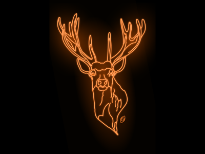 Neon Deer Wallpaper