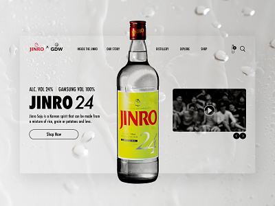 JINRO x GDW alcohol beverage bottle gdw jinro product design soju web design website website design