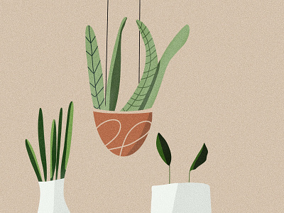 Botanical love. botanic branding design grafikdesignerin graphicdesign illustration