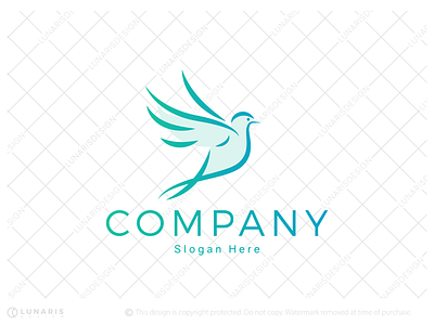 Peace Bird Logo - for sale blue bird logo blue dove logo branding dove logo friendly bird logo logo logo for sale logoground peace logo pigeon logo