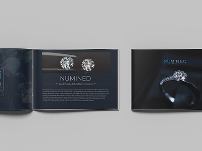 Numined brochure #2 bookdesign bookletdesign branding brochure design graphic design illustrator logo magazine photoshop