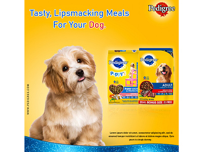 Dog Food Poster poster design