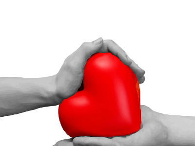 Сердце в руках Любовь любовь сердце