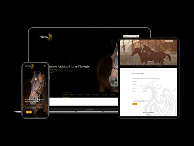 Web Design - Arabian Horse Stud responsive uxui web webdesign website design