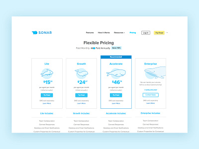 Send Sonar Pricing Page illustration pricing whales